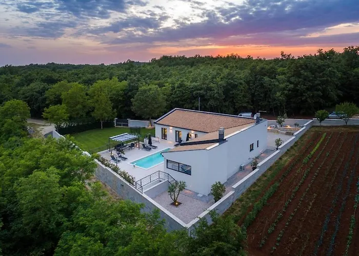 Villa Vetosa By Istrialux Zminj photo