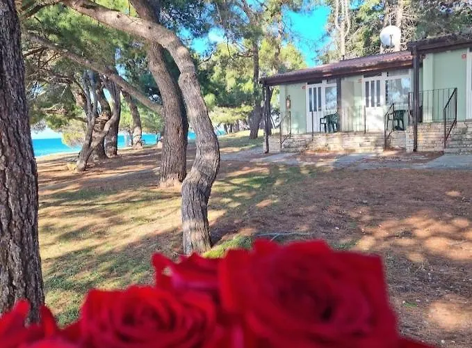 Family Bungalow Pineta Novigrad  photo