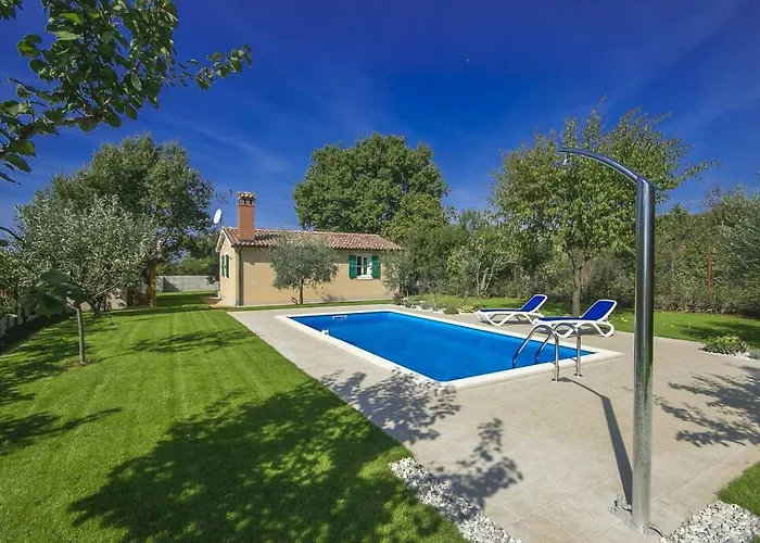 Villa Oliva Musalez photo