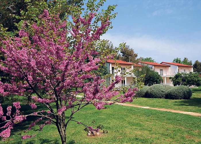 Ai Pini Medulin Resort photo