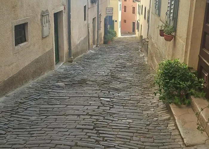 Casa Zita Lägenhet Motovun foto