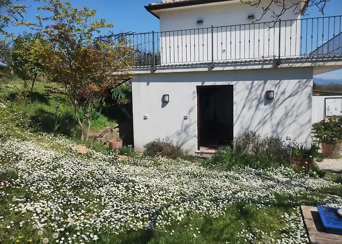 Фото Вилла Casa Rosa Istria Kucibreg